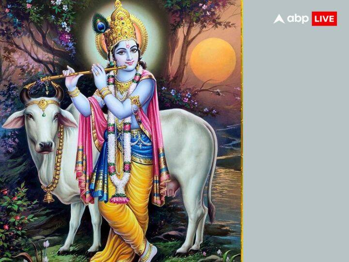 माघ के महीने में रोज सुबह कृष्ण जी को पीले फूल चढ़ाएं और पंचामृत चढ़ाएं. माघ के महीने में किसी भी जरुरतमंद को भोजन करना बेहद शुभ माना जाता है.