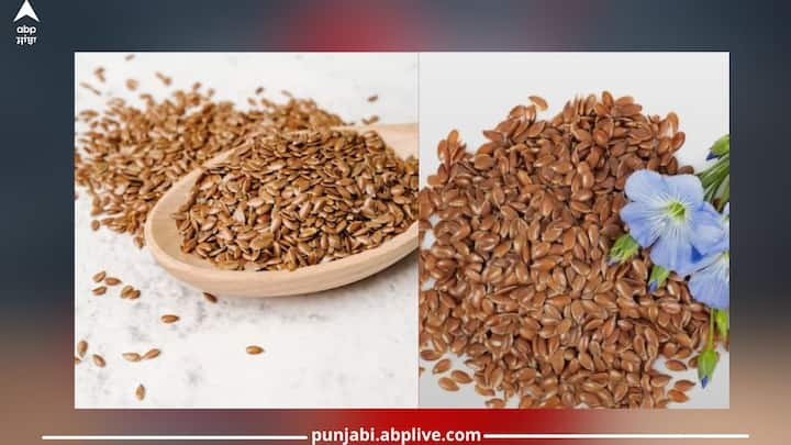 Health News: ਜੇਕਰ ਤੁਸੀਂ ਵੀ ਆਪਣੇ ਆਪ ਨੂੰ ਸਿਹਤਮੰਦ ਰੱਖਣਾ ਚਾਹੁੰਦੇ ਹੋ, ਤਾਂ ਤੁਸੀਂ ਆਪਣੀ ਡਾਈਟ 'ਚ ਫਲੈਕਸ ਦੇ ਬੀਜ ਯਾਨੀਕਿ ਅਲਸੀ ਦੇ ਬੀਜ ਸ਼ਾਮਲ ਕਰ ਸਕਦੇ ਹੋ। ਅਲਸੀ ਦੇ ਬੀਜ ਸਿਹਤ ਲਈ ਬਹੁਤ ਫਾਇਦੇਮੰਦ ਮੰਨੇ ਜਾਂਦੇ ਹਨ।