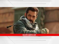 'टायगर'नंतर बब्बर शेरच्या भूमिकेत दिसणार सलमान खान; कबीर खानने दिली सिनेमाची ऑफर