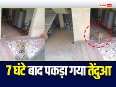 7 घंटे बाद पकड़ा गया आदमखोर तेंदुआ, हमले में एक शख्स को किया घायल