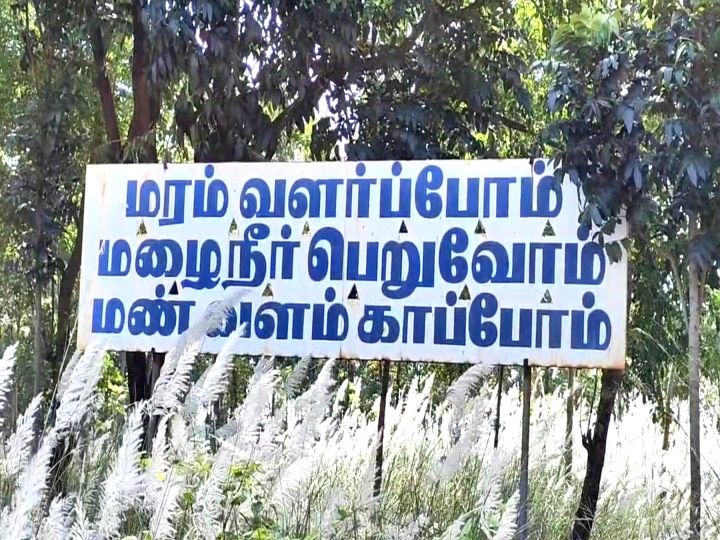 பாங்காக்கில் தொழிலதிபர்.... மயிலாடுதுறையில் விவசாயி - ஒன்றரை லட்சம் மரங்களை வளர்த்து சாதனை