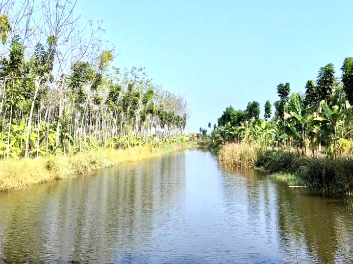 பாங்காக்கில் தொழிலதிபர்.... மயிலாடுதுறையில் விவசாயி - ஒன்றரை லட்சம் மரங்களை வளர்த்து சாதனை