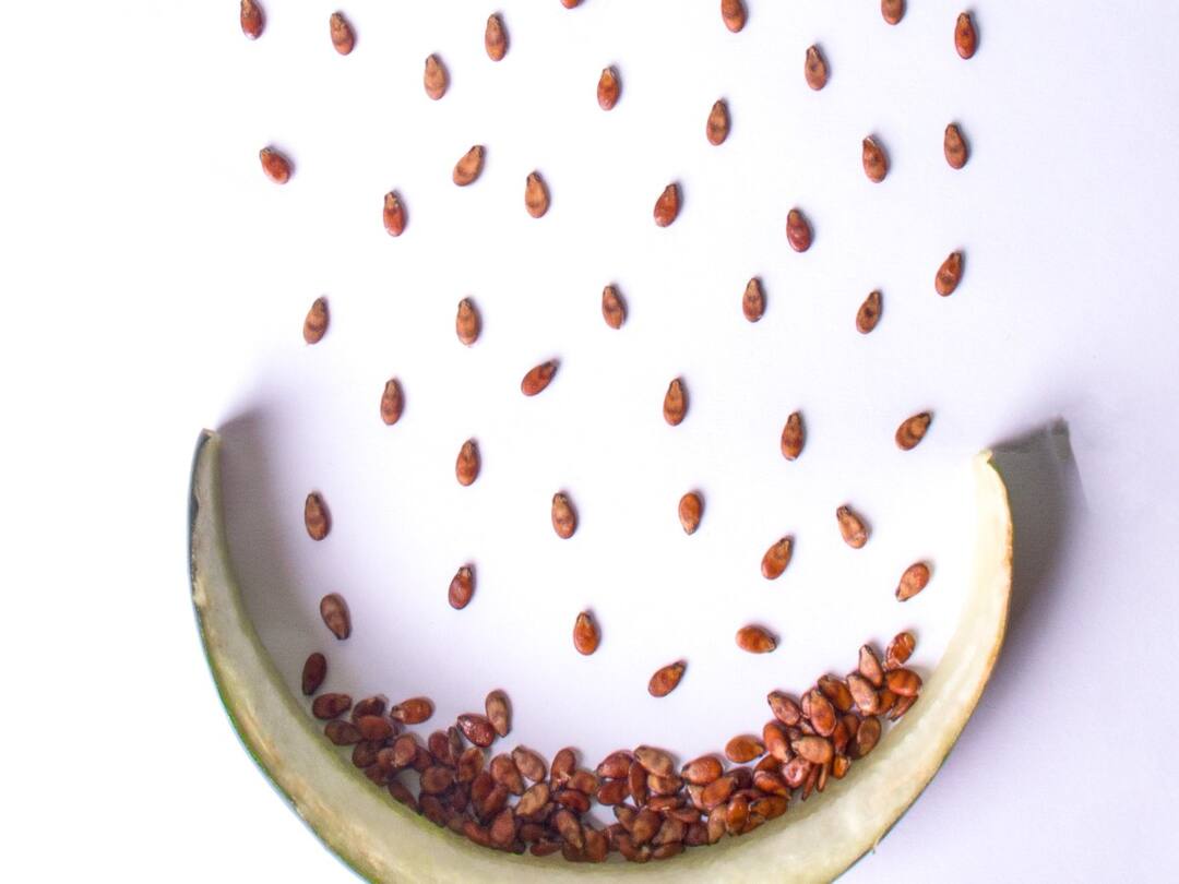 If you throw out watermelon seeds as useless, know its health benefits