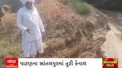 ABP News