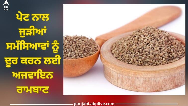 Ajwain remedy for stomach problems, use it like this for more benefits health news Ajwain Benefits: ਪੇਟ ਨਾਲ ਜੁੜੀਆਂ ਸਮੱਸਿਆਵਾਂ ਨੂੰ ਦੂਰ ਕਰਨ ਲਈ ਅਜਵਾਇਨ ਰਾਮਬਾਣ, ਇਸ ਤਰ੍ਹਾਂ ਕਰੋ ਵਰਤੋਂ ਮਿਲੇਗਾ ਜ਼ਿਆਦਾ ਫਾਇਦਾ