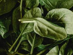 Health Tips :हिवाळ्यात फ्रेश राहण्यासाठी जाणून घ्या हिवाळ्यातील 5 सोप्या पाककृती!