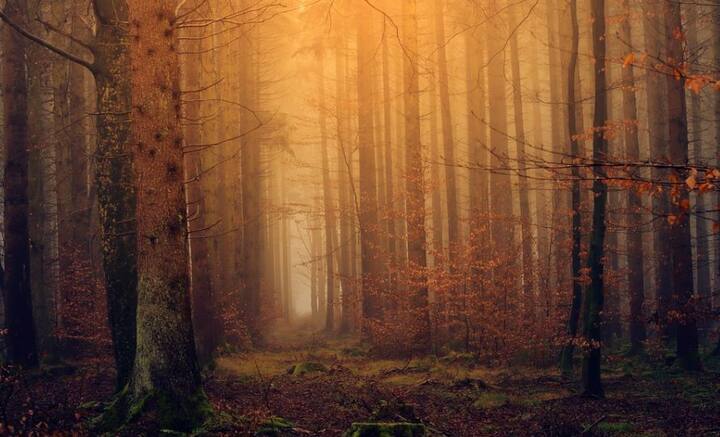 পৃথিবীতে বিরাজমান এমনই কিছু প্রাকৃতিক আশ্চর্য রয়েছে। সবক’টির নাম জানেন তো! ছবি: পিক্সাবে।