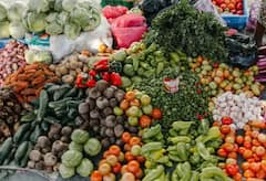 Winter Crops: ਠੰਡ ‘ਚ ਕਰ ਸਕਦੇ ਇਨ੍ਹਾਂ ਫਸਲਾਂ ਦੀ ਖੇਤੀ, ਹੋਵੇਗਾ ਚੰਗਾ ਮੁਨਾਫਾ