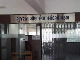 ગુજરાતમાં જુનિયર ક્લાર્ક, સિનિયર ક્લાર્ક, હેડ ક્લાર્ક, ઓફિસ આસિસ્ટન્ટ, બિન સચિવાલય ક્લાર્ક ની ભરતીની જાહેરાત, જાણો કઈ છે અરજી કરવાની છેલ્લી તારીખ