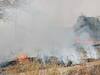 Chhattisgarh: रायगढ़ में खरपतवार के नाम पर किसान लगा रहे आग, एनजीटी का निर्देश भी बेअसर