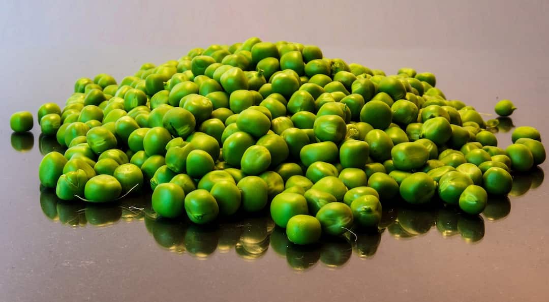 Just the nutritional value? Don't you make a mistake by eating extra pea in winter Pea: শুধুই পুষ্টিগুণ? নাকি ক্ষতিও! শীতে অতিরিক্ত কড়াইশুঁটি খেয়ে ভুল করছেন না তো?
