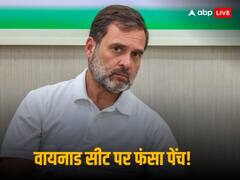 राहुल गांधी की वायनाड सीट पर फंसा पेंच? क्यों हो रही है चर्चा