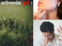 Durva Health Benefits : औषधी गुणधर्मांनी समृद्ध दुर्वा 'या' शारीरिक समस्या दूर करतात...