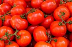 Winter Crops: ਠੰਡ ‘ਚ ਕਰ ਸਕਦੇ ਇਨ੍ਹਾਂ ਫਸਲਾਂ ਦੀ ਖੇਤੀ, ਹੋਵੇਗਾ ਚੰਗਾ ਮੁਨਾਫਾ