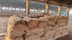 Solapur:  सोलापूर कृषी उत्पन्न बाजार समितीतील कांद्याचे लिलाव बंद