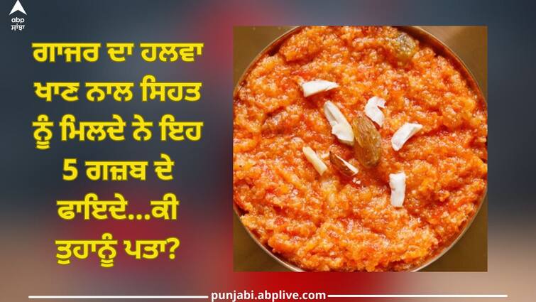 Gajar ka halwa: Eating carrot halwa has these 5 amazing health benefits health trending news Gajar ka halwa: ਗਾਜਰ ਦਾ ਹਲਵਾ ਖਾਣ ਨਾਲ ਸਿਹਤ ਨੂੰ ਮਿਲਦੇ ਨੇ ਇਹ 5 ਗਜ਼ਬ ਦੇ ਫਾਇਦੇ...ਕੀ ਤੁਹਾਨੂੰ ਪਤਾ?