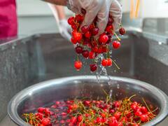 इन चीजों को पहले पानी में भिगोने के बाद खाएं, मिलेंगे दोगुना फायदे