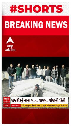 Rajkot News : વિંછીયાના નાનામાત્રા ગામે ગાંજાની ખેતી