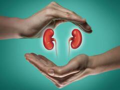 Kidney Health : சிறுநீரகத்தில் தங்கியுள்ள நச்சுக்களை நீக்க இந்த பழங்களை உண்ணுங்கள்!