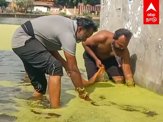 Sabarimala Devotees Cleaning Ponds : ”சுவாமியே சரணம் ஐயப்பா”மிதந்த மது பாட்டில்கள் களத்தில் பக்தர்கள்