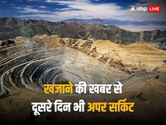 इस भारतीय कंपनी ने जाम्बिया में खरीदा खदान, साल भर में 500 पर्सेंट चढ़ चुका है शेयर