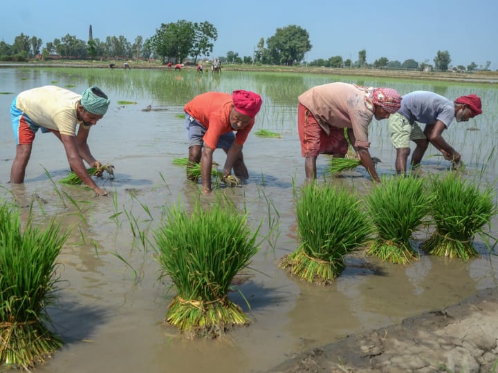 PM Kisan Yojana: पिछले कुछ सालों से पीएम किसान योजना के तहत देशभर के तमाम किसानों को आर्थिक सहायता दी जाती है.