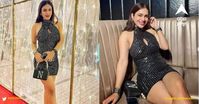 Neha Malik Pics: ਨੇਹਾ ਮਲਿਕ ਆਪਣੇ ਬੋਲਡ ਅਤੇ ਸ਼ਾਨਦਾਰ ਅੰਦਾਜ਼ ਨਾਲ ਸੋਸ਼ਲ ਮੀਡੀਆ 'ਤੇ ਲਾਈਮਲਾਈਟ ਚੁਰਾਉਂਦੀ ਹੈ। ਜਦੋਂ ਵੀ ਉਹ ਆਪਣੀਆਂ ਤਸਵੀਰਾਂ ਪੋਸਟ ਕਰਦੀ ਹੈ ਤਾਂ ਉਹ ਕੁਝ ਹੀ ਮਿੰਟਾਂ 'ਚ ਇੰਟਰਨੈੱਟ 'ਤੇ ਧਮਾਲ ਮਚਾ ਦਿੰਦੀ ਹੈ।