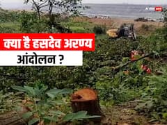 हसदेव अरण्य आंदोलन क्या है और कहां चल रहा है, चिपको आंदोलन से क्यों हो रही इसकी तुलना?