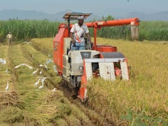 इन किसानों को नहीं मिलेगी पीएम किसान योजना की 16वीं किस्त, ये है कारण