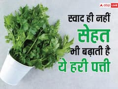 सेहत का खजाना है धनिए की पत्तियां, इन बीमारी के मरीजों को जरूर खानी चाहिए