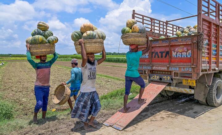 पीएम किसान योजना की 15 किस्त अब तक जारी हो चुकी हैं, सरकारी आंकड़ों के मुताबिक करोड़ों किसानों को अब तक इसका लाभ मिल चुका है.