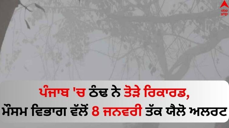 punjab-weather-update-imd-dense-fog-in punjab IMD predicts very dense fog till 4 to 8 January 2024 Punjab Weather Update: ਪੰਜਾਬ 'ਚ ਠੰਢ ਨੇ ਤੋੜੇ ਰਿਕਾਰਡ, ਮੌਸਮ ਵਿਭਾਗ ਵੱਲੋਂ 8 ਜਨਵਰੀ ਤੱਕ ਯੈਲੋ ਅਲਰਟ 