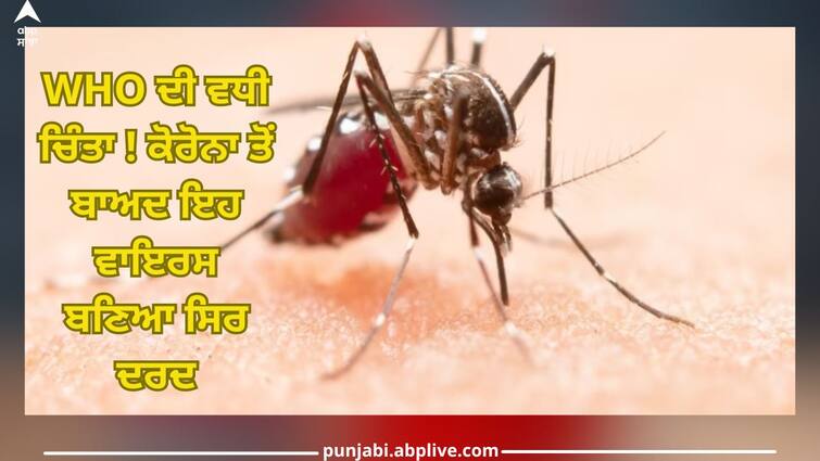 health tips wee diseases symptoms and prevention WHO worried about this virus Health News: WHO ਦੀ ਵਧੀ ਟੈਂਸ਼ਨ! ਕੋਰੋਨਾ ਤੋਂ ਬਾਅਦ ਇਹ ਵਾਇਰਸ ਬਣਿਆ ਸਿਰ ਦਰਦ, ਜਾਣੋ ਲੱਛਣ ਅਤੇ ਬਚਾਅ