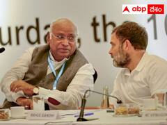 Lok Sabha Election 2024: ఖర్గే క్యాలిబర్‌కి పరీక్ష పెట్టనున్న లోక్‌సభ ఎన్నికలు, నిలబడతారా తడబడతారా?