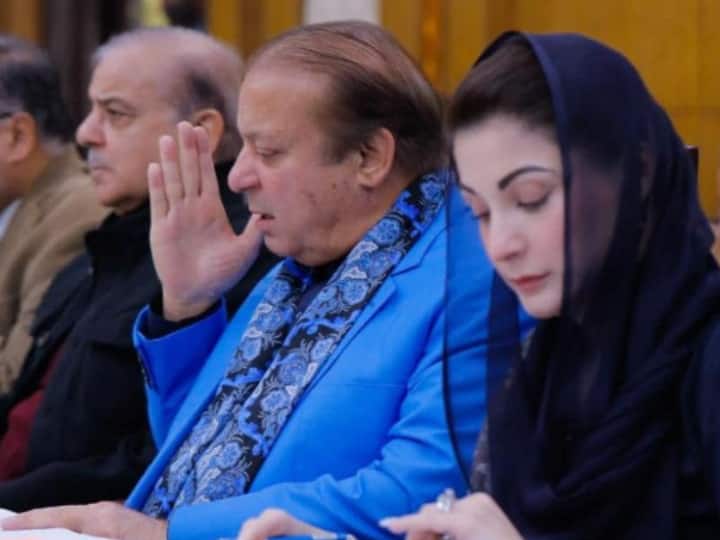 मरियम ने नामांकन पत्र में अपनी शैक्षिक योग्यता के रूप में एमए (इंग्लिश लिट्रेचर) को दिखाया है. जिओ न्यूज की रिपोर्ट के अनुसार, मरियम पर उनके भाई हसन नवाज का 2 करोड़ रुपए से अधिक का बकाया है. मरियम के पति कैप्टन सफदर पर भी उनके दोस्तों के छह करोड़ रुपए बकाया हैं.