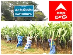 33 ரூபாய் கரும்பு 15 ரூபாய்க்கு கொள்முதல் - மயிலாடுதுறை மாவட்டம் விவசாயிகள் வேதனை