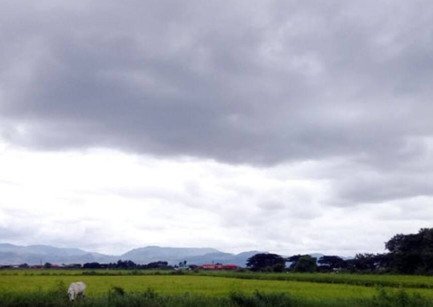 Maharashtra Weather News Cloudy weather in some parts of the state and chances of rain in some parts कुठं ढगाळ तर कुठं पावसाची शक्यता, तर मुंबईत धुरयुक्त धुकं; कसं असेल महाराष्ट्रातील हवामान? 