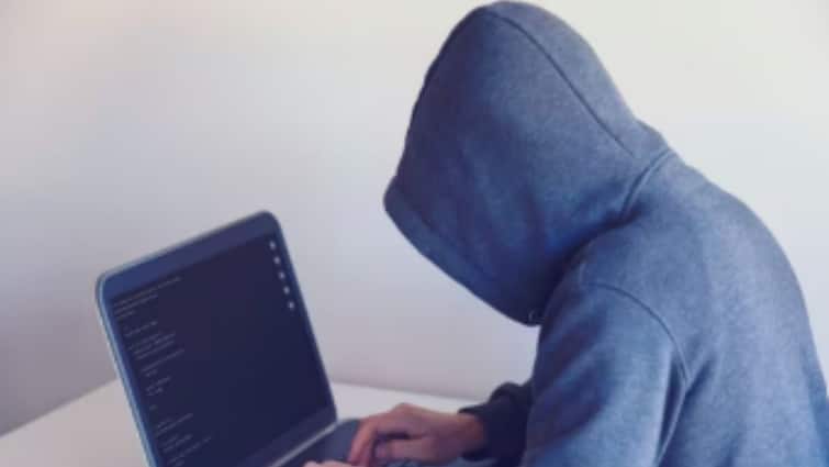 Cyber Kidnapping:'সাইবার কিডন্যাপিং' কী? কী ভাবে আটকাবেন, জানেন তো?