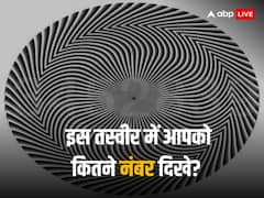 Optical Illusion: इस ऑप्टिकल इल्यूजन वाली तस्वीर में नंबर ढूंढने की लगी होड़, आपको अभी तक कितने दिखे?