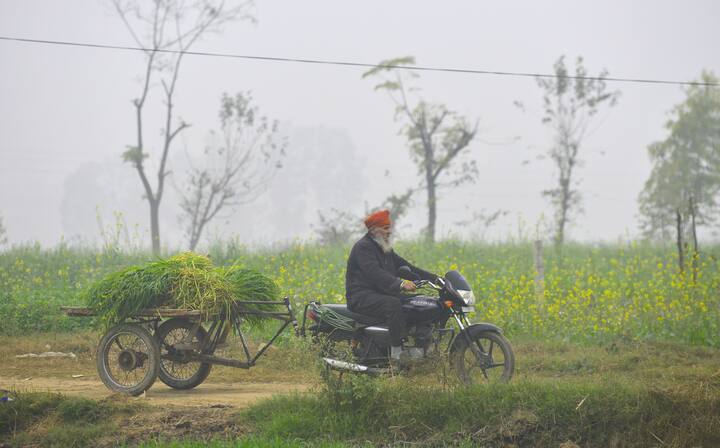 पंजाब के पटियाला में दृश्यता 25 और अमृतसर में 50 रह गई. वहीं अंबाला 25, जबकि करनाल में 50 दर्ज हुई. इसके अलावा चंडीगढ़ में भी 25 रही. पंजाब, हरियाणा और चंडीगढ़ के कुछ हिस्सों में शीत दिवस से लेकर गंभीर शीत दिवस की स्थिति देखी गई.
