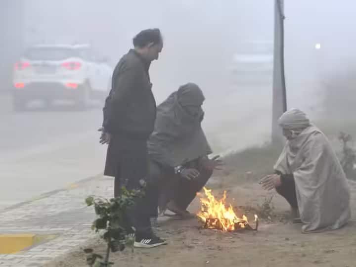 Gujarat weather: Chills rise in Gujarat, Nalia the coldest with 8.2 degrees ઠંડીમાં ઠૂંઠવાયું ગુજરાત, 8.2 ડિગ્રી સાથે નલિયા સૌથી ઠંડુંગાર