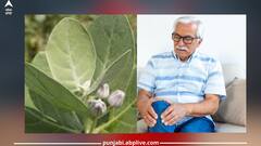 Home remedy: ਅਜਿਹਾ ਘਰੇਲੂ ਨੁਸਖਾ, ਜਿਸ ਦੀ ਵਰਤੋਂ ਕਰਨ ਨਾਲ ਤੁਰੰਤ ਮਿਲੇਗੀ ਜੋੜਾਂ ਅਤੇ ਗੋਡਿਆਂ ਦੇ ਦਰਦ ਤੋਂ ਰਾਹਤ