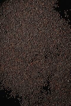 Hair care : तेल आणि हे घटक एकत्र वापरा, केसांना बनवा आकर्षक !