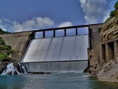 उदयपुर में होने जा रही विंटर टूर की शुरुआत, वन विभाग के साथ करें जंगल की सैर