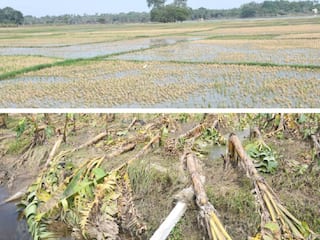 2023ம் ஆண்டில் வறட்சியில் துவங்கி வெள்ளத்தில் முடிந்த விவசாயம் - விரக்தியில் தூத்துக்குடி விவசாயிகள்