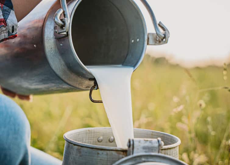 Milk Price News Government will give Rs 5 subsidy to milk producing farmers मोठी बातमी! दूध उत्पादक शेतकऱ्यांना मोठा दिलासा, दुधासाठी सरकार देणार 5 रुपयांचं अनुदान
