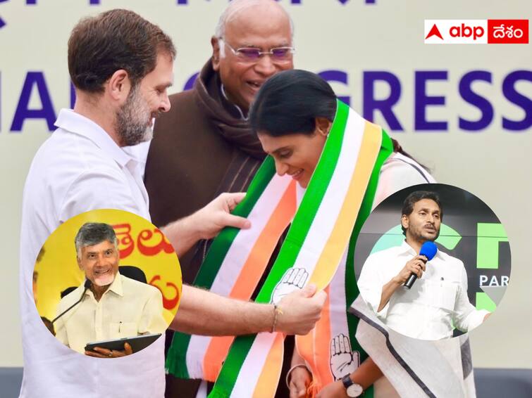 Who will benefit from Sharmila  joining the Congress party abpp Sharmila Political Effect : షర్మిల కాంగ్రెస్ ఎంట్రీ వల్ల వైసీపీ, టీడీపీల్లో ఎవరికి లాభం ? ఎవరికి నష్టం ?