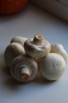 Benefits of mushrooms : मशरूम; वाढवते तुमचे सौंदर्य!