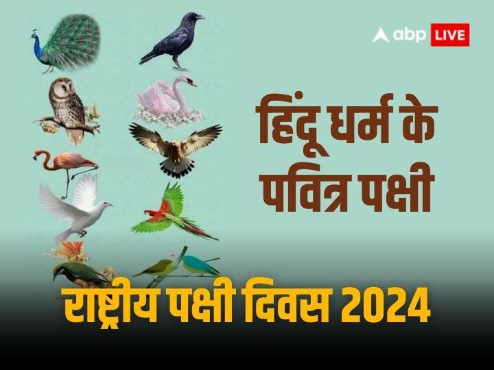 National Bird Day 2024 religious birds of hindu dharma and name and