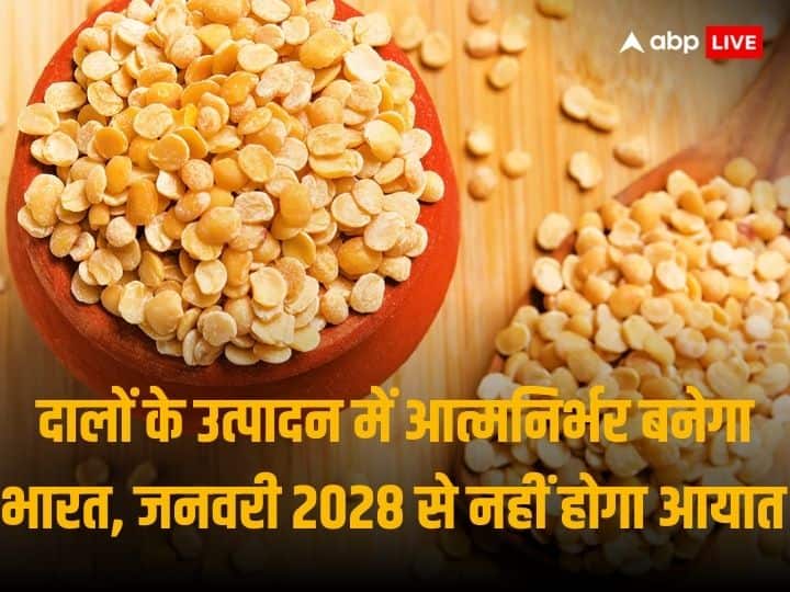 Amit Shah Launches Web portal Where Farmers Can Sell Tur Dal Online India Will Become Atamnirbhar In Pulses Production By Dec 2027 Atamnirbhar Bharat: 2028 से भारत नहीं करेगा दालों का आयात, वेब पोर्टल के जरिए किसानों से डायरेक्ट होगी खरीद - अमित शाह